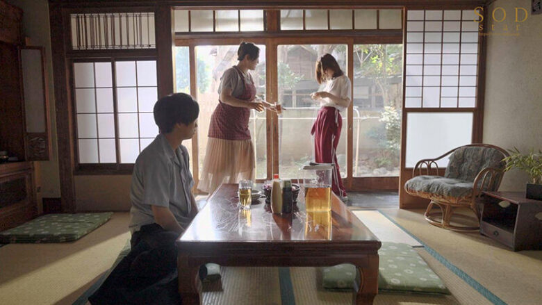 数年ぶりに帰省すると、アラサーの姉は未だに自称家事手伝い（ニート）の喪女だった。 隠れ巨乳の姉（26） 天宮花南 5枚目